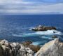 Whale Coast Route – Von Kapstadt zum Grootbos Private Nature Reserve
